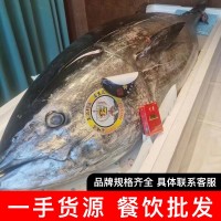 藍(lán)鰭金槍魚(yú)刺身大腹O-Toro魚(yú)腩生魚(yú)片冰鮮超低溫藍(lán)旗金槍魚(yú)霜降